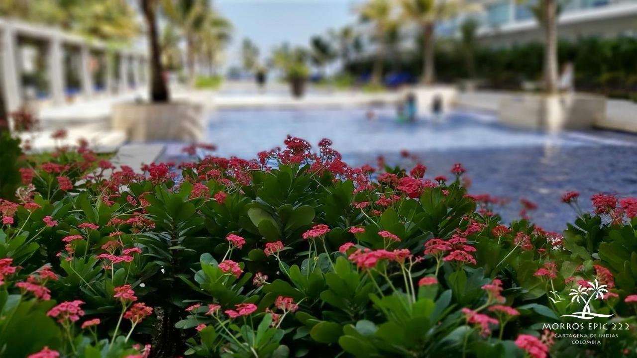 Morros Epic 222 Daire Cartagena Dış mekan fotoğraf
